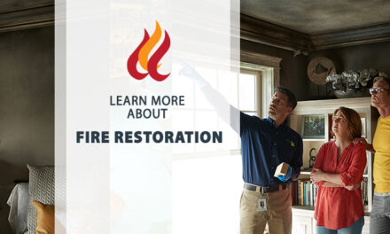 Post-fire Restoration: Important Aspects to Consider