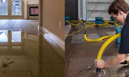 Water Mitigation Services for Rapid Recovery and Restoration