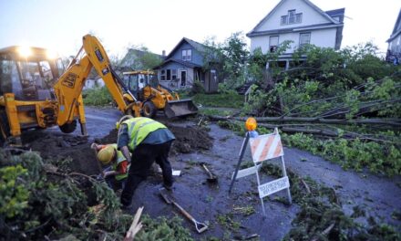 Efficient Storm Cleanup: Rapid Damage Restoration Services