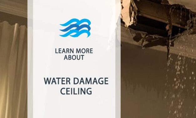 Effective Solutions for Water Damage Ceiling Repair