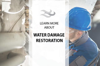 Effective Water Damage Restoration Expert Tips for Quick Recovery