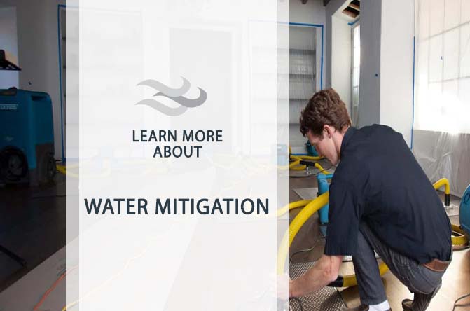 Water Mitigation Services for Rapid Recovery and Restoration