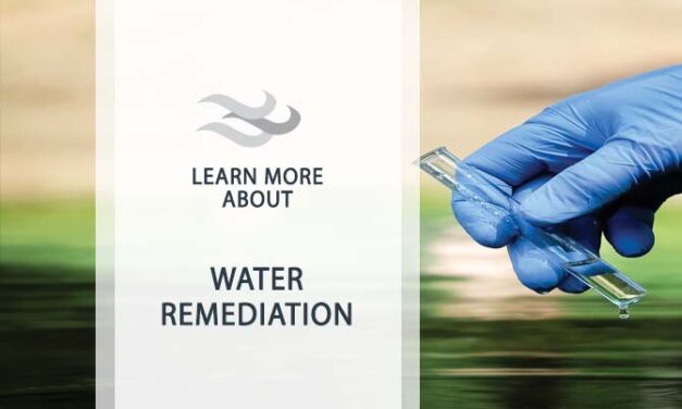 Water Remediation Services Expert Solutions for Efficient Restoration