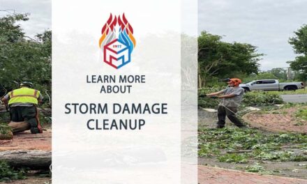 Efficient Storm Cleanup: Rapid Damage Restoration Services