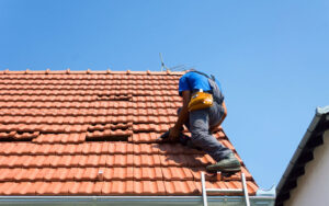 Roof Damage Solution