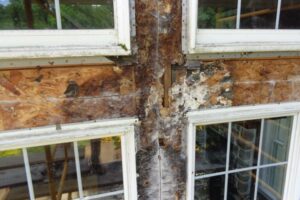 Window Water Damage Repair