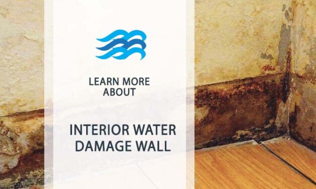 Interior Water Damage Wall: Remedies for Quick Repair