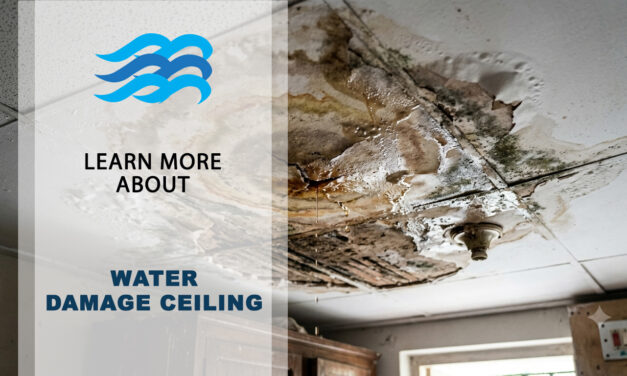 Water Damage Ceiling Repair: Quick Solutions for Restoration