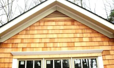 Enhance Your Home’s Charm with Cedar Shake Siding