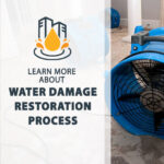 Trusted Restoration Water Damage Experts for Quick Recovery