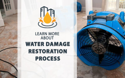 Trusted Restoration Water Damage Experts for Quick Recovery