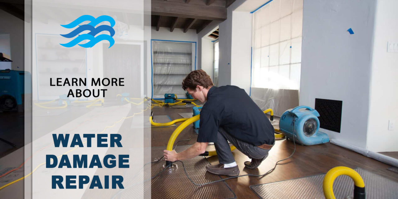 Water Damage Mitigation: Swift Solutions for Recovery