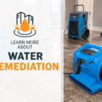 Water Remediation: Restoring Spaces with Expert Care