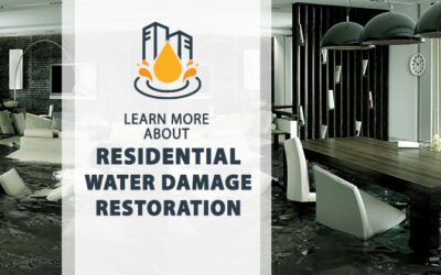 Expert Residential Water Damage Restoration Services Near You