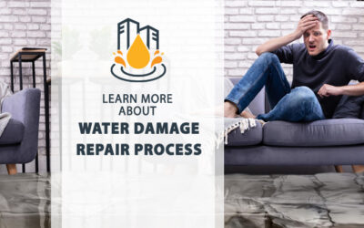 Restore Your Home After Ceiling Water Damage – Expert Help