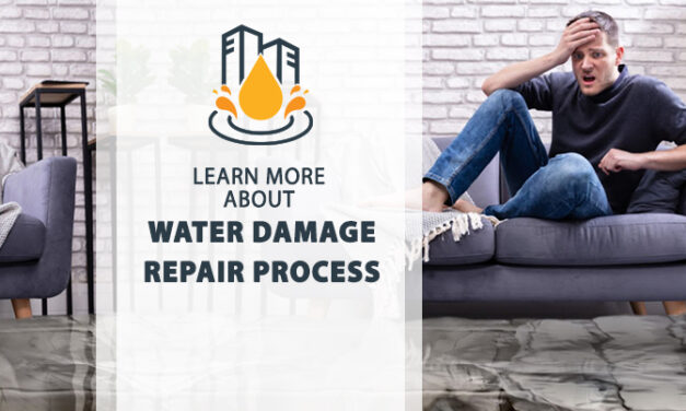 Restore Your Home After Ceiling Water Damage – Expert Help