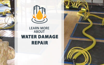 Step-by-Step Guide to Repair Water Damage the Right Way