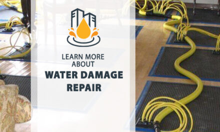 Step-by-Step Guide to Repair Water Damage the Right Way