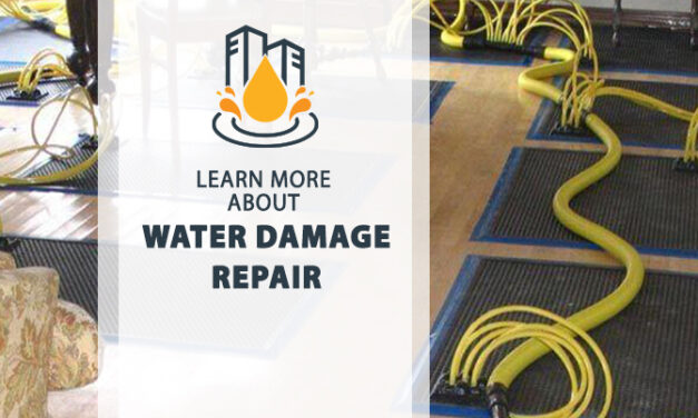 Step-by-Step Guide to Repair Water Damage the Right Way