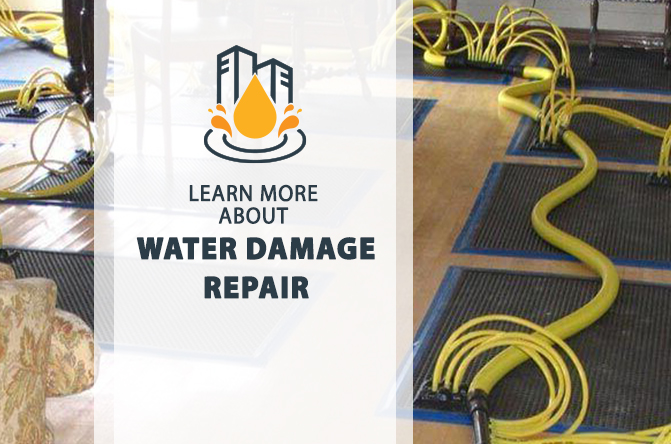 Step-by-Step Guide to Repair Water Damage the Right Way