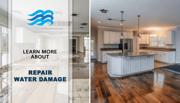 Step-by-Step Guide to Repair Water Damage the Right Way