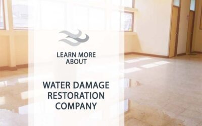 Water Damage Company Near Me – We Restore What Matters
