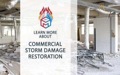 Storm Damage Today: How to Protect Your Property and Seek Help