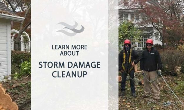 Storm Damage Cleanup: A Comprehensive Guide to Recovery and Restoration