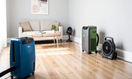 Step-by-Step Guide to Repair Water Damage the Right Way
